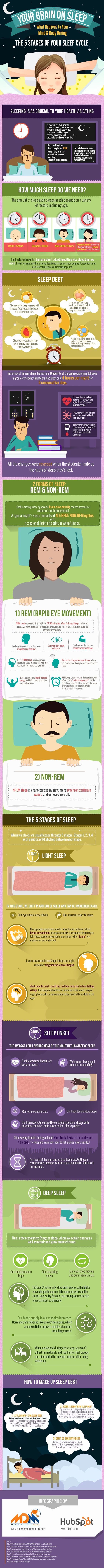 five stages of sleep cycle