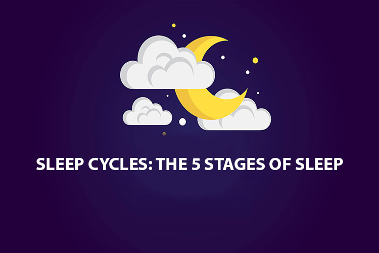 sleep cycles stages