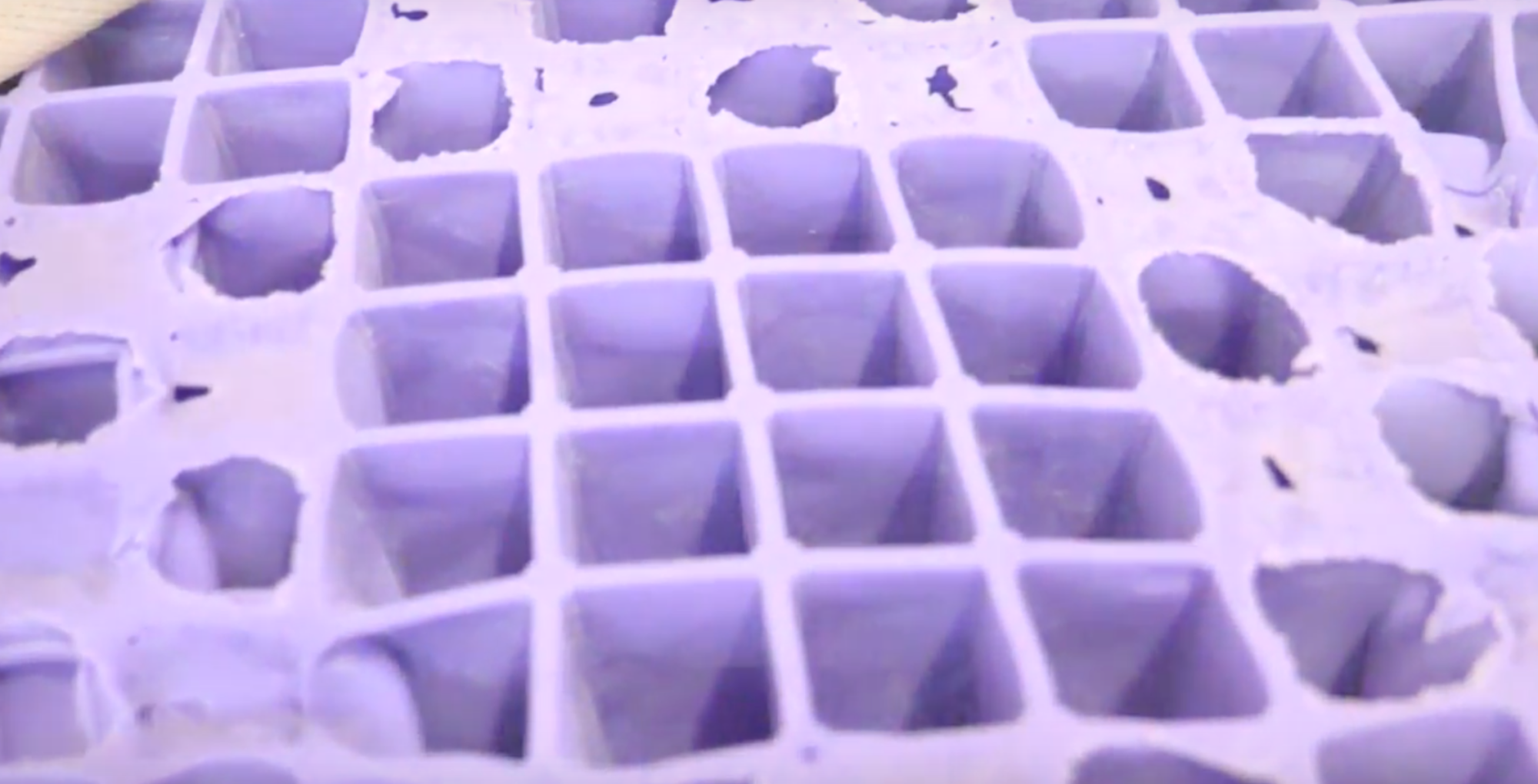 purple polymer grid