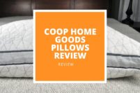 Coop Home Goods Pillows Review