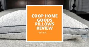 Coop Home Goods Pillows Review