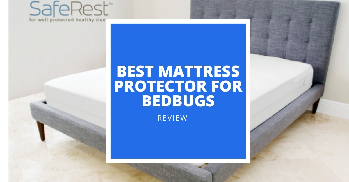 5 Best Mattress Protectors For Bedbugs, Bed Bugs Bite Through Mattress Protectors