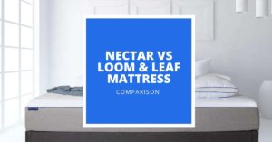 Nectar vs Loom & Leaf